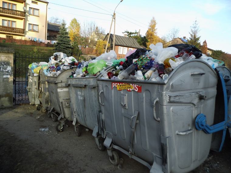 Akcja "Czysty cmentarz od śmieci" – zdjęcie 3